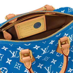 Louis Vuitton Speedy P9 Bandoulière 25 Waist bag